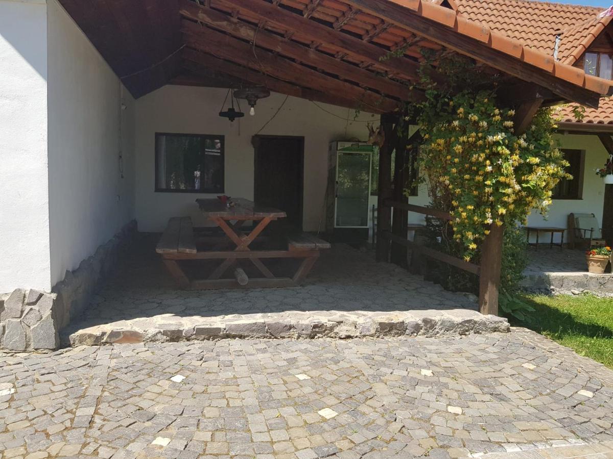 Vila Sura Razoare Sighisoara Exterior photo