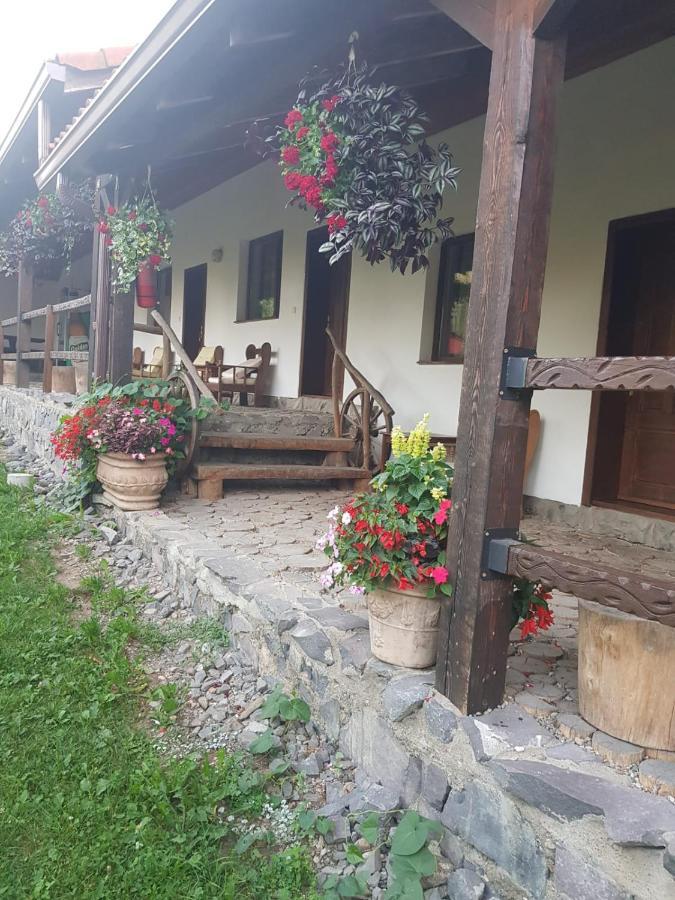 Vila Sura Razoare Sighisoara Exterior photo